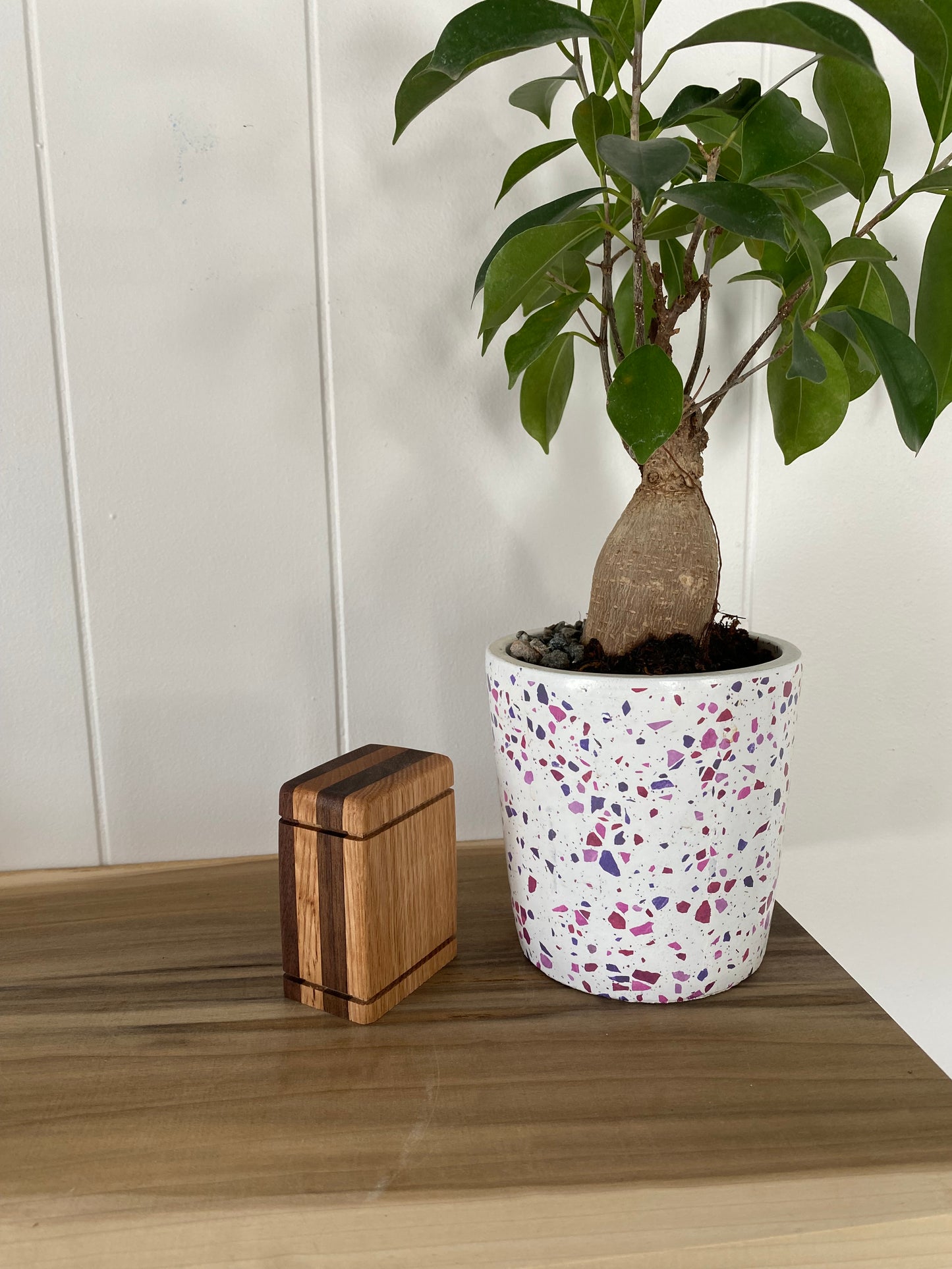 Black Walnut and Oak Keepsake Wood Urn