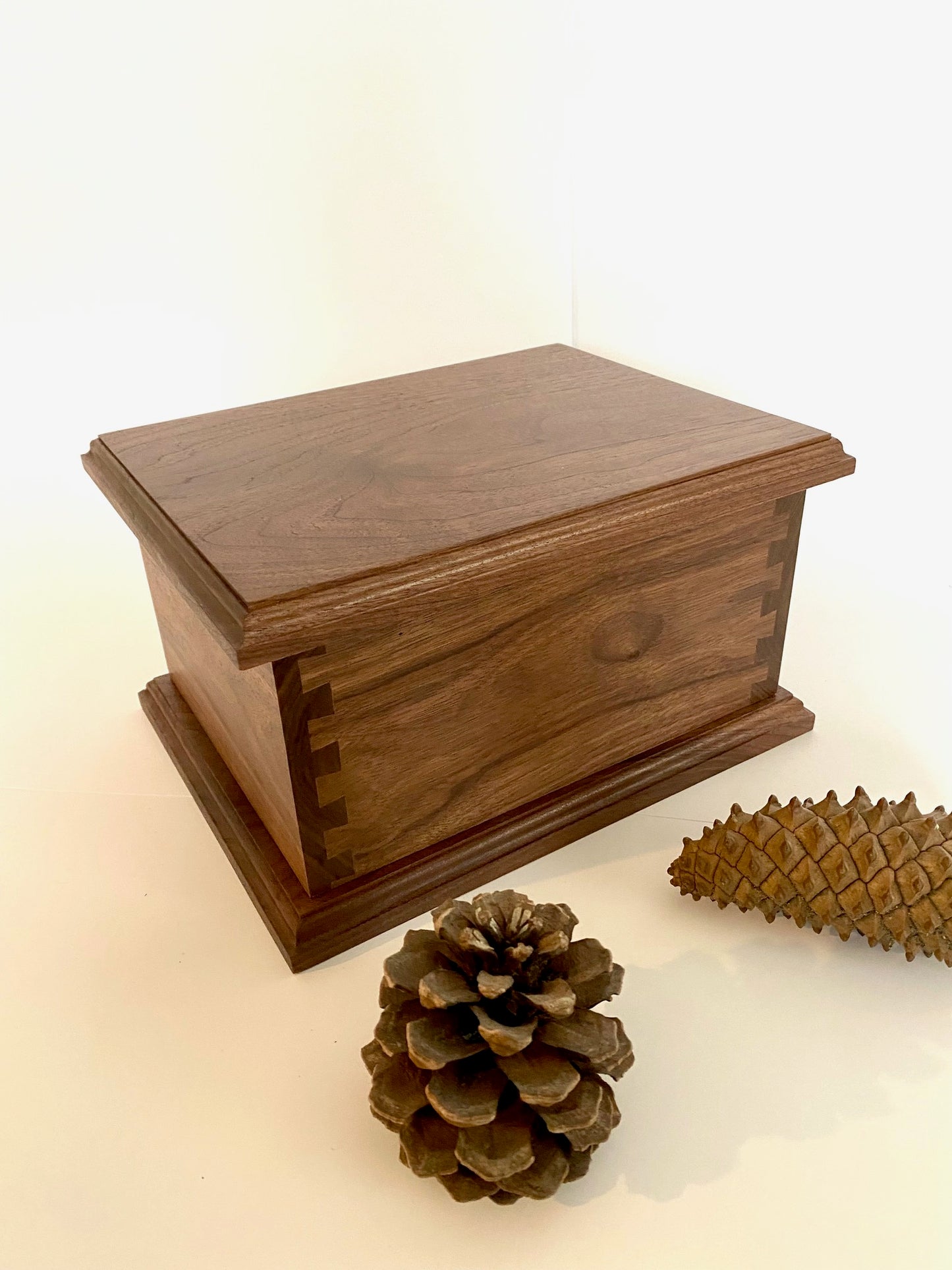 Black Walnut Dovetail Urn for Human Ashes, up to 230 pounds